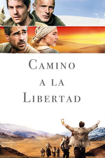 Cartell de Camí a la llibertat