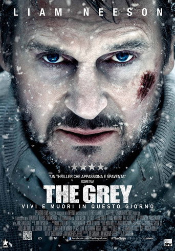 Locandina di The Grey