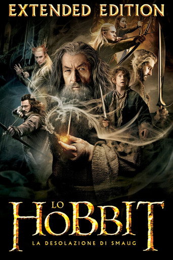 Locandina di Lo Hobbit: La desolazione di Smaug
