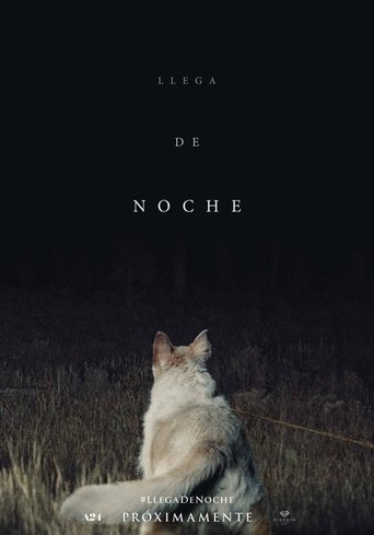 Cartell de Arriba de nit