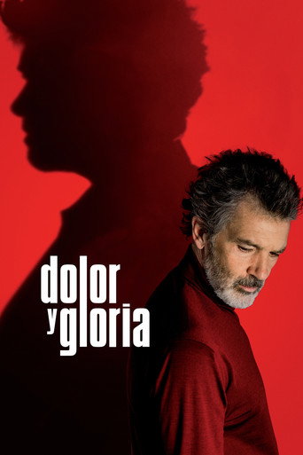 Cartell de Dolor y gloria